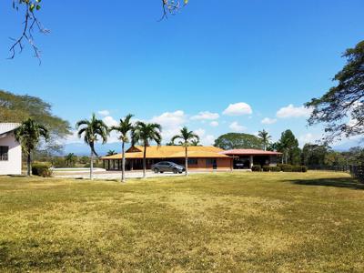 Costa Rica Ranch and farm for sale - image 7