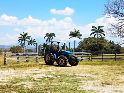 Costa Rica Ranch and farm for sale - image 23