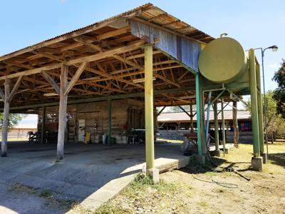 Costa Rica Ranch and farm for sale - image 14