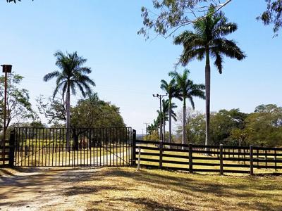 Costa Rica Ranch and farm for sale - image 21