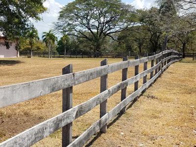 Costa Rica Ranch and farm for sale - image 29