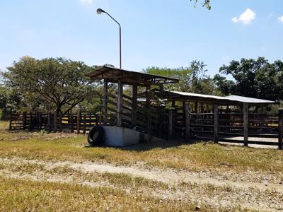 Costa Rica Ranch and farm for sale - image 5