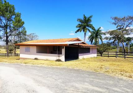 Costa Rica Ranch and farm for sale - image 12