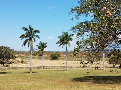 Costa Rica Ranch and farm for sale - image 31