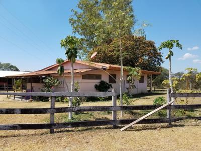 Costa Rica Ranch and farm for sale - image 11