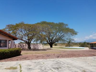 Costa Rica Ranch and farm for sale - image 3