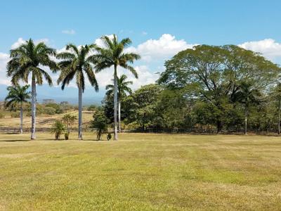 Costa Rica Ranch and farm for sale - image 41