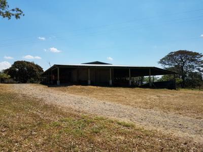 Costa Rica Ranch and farm for sale - image 19