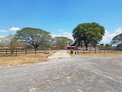 Costa Rica Ranch and farm for sale - image 13