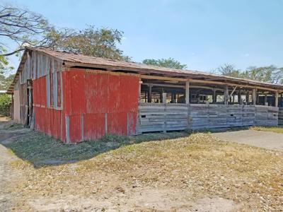 Costa Rica Ranch and farm for sale - image 9