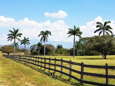 Costa Rica Ranch and farm for sale - image 24