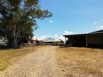 Costa Rica Ranch and farm for sale - image 18