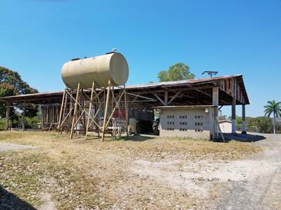 Costa Rica Ranch and farm for sale - image 8