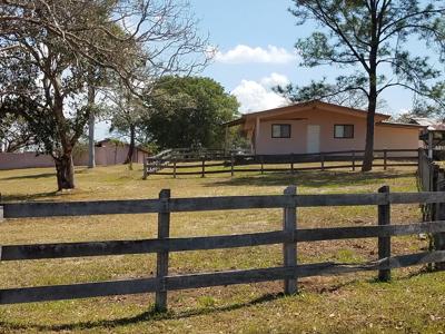 Costa Rica Ranch and farm for sale - image 25