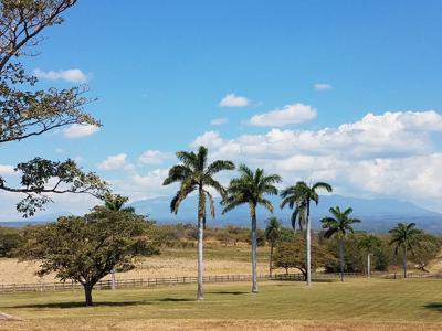 Costa Rica Ranch and farm for sale - image 27