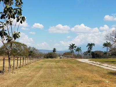 Costa Rica Ranch and farm for sale - image 22