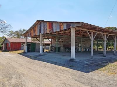 Costa Rica Ranch and farm for sale - image 10