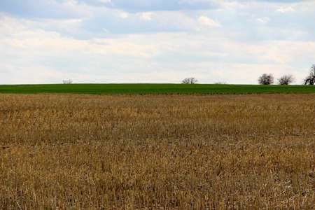 125± Acres of Tillable Farmland in Saline County, Kansas - image 8