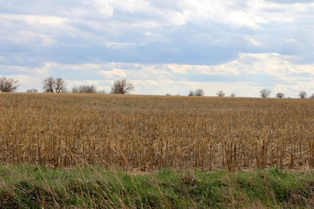 125± Acres of Tillable Farmland in Saline County, Kansas - image 5