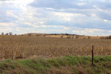 125± Acres of Tillable Farmland in Saline County, Kansas - image 6