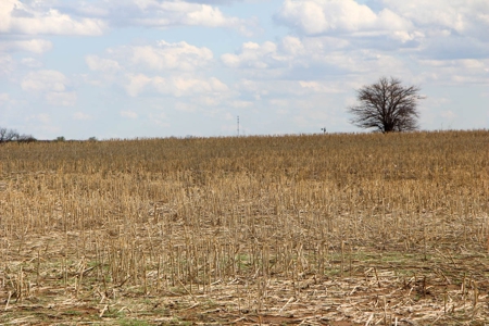125± Acres of Tillable Farmland in Saline County, Kansas - image 9