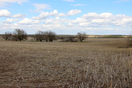 125± Acres of Tillable Farmland in Saline County, Kansas - image 3
