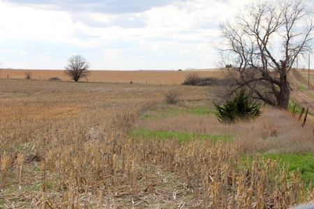 125± Acres of Tillable Farmland in Saline County, Kansas - image 7