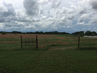 Operating Vineyard and Remodeled Home for Sale in Texas - image 41