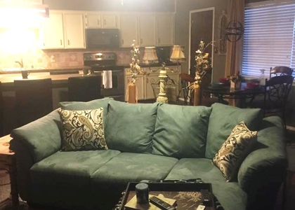 Operating Vineyard and Remodeled Home for Sale in Texas - image 11