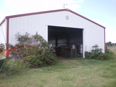 Operating Vineyard and Remodeled Home for Sale in Texas - image 4