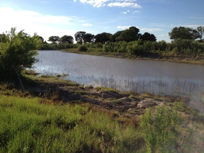 Operating Vineyard and Remodeled Home for Sale in Texas - image 33