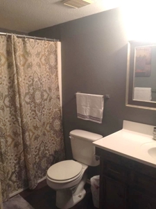 Operating Vineyard and Remodeled Home for Sale in Texas - image 28