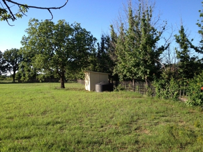 Operating Vineyard and Remodeled Home for Sale in Texas - image 30