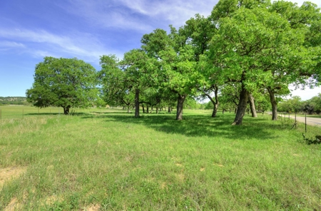 Historic Farmhouse on 22 acres for sale - Fredericksburg TX - image 25