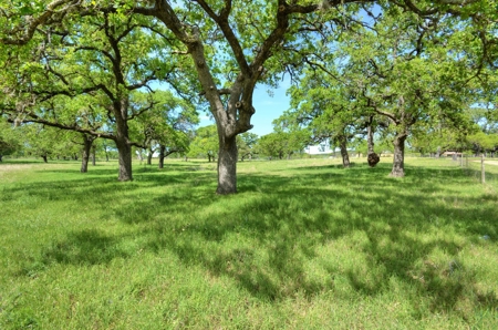 Historic Farmhouse on 22 acres for sale - Fredericksburg TX - image 24