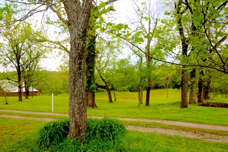 Motocross Track For Sale in Missouri | Farm For Sale in MO - image 19