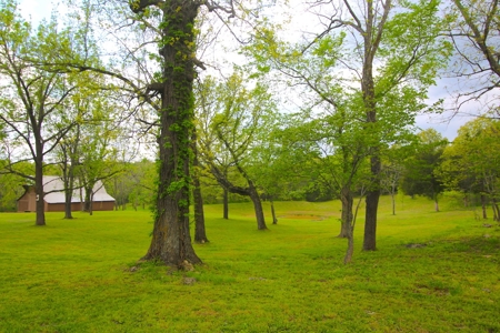 Motocross Track For Sale in Missouri | Farm For Sale in MO - image 20