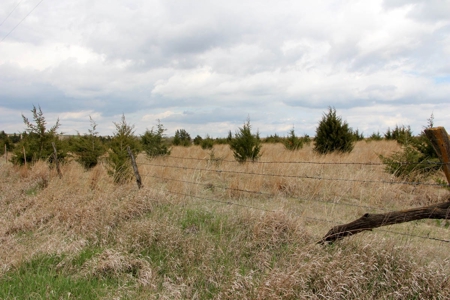 100± Acres of Rolling Pasture Land in Cloud County, Kansas - image 2
