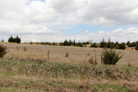 100± Acres of Rolling Pasture Land in Cloud County, Kansas - image 5