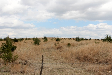 100± Acres of Rolling Pasture Land in Cloud County, Kansas - image 4