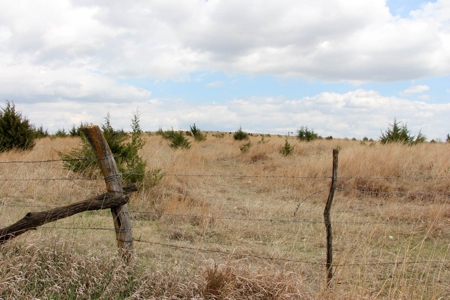100± Acres of Rolling Pasture Land in Cloud County, Kansas - image 1