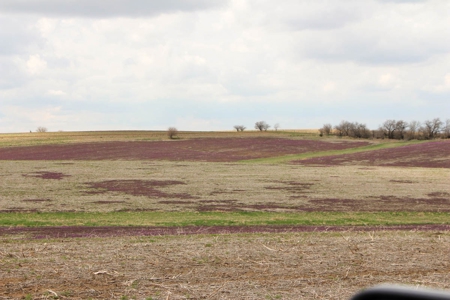 76± Acres of Tillable Farmland For Sale in Cloud County, KS - image 2