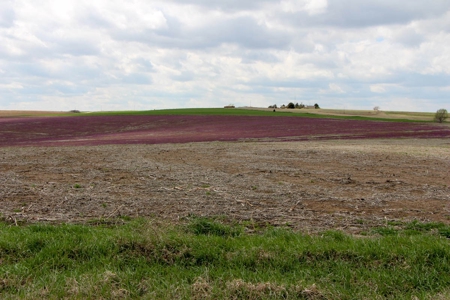 76± Acres of Tillable Farmland For Sale in Cloud County, KS - image 6