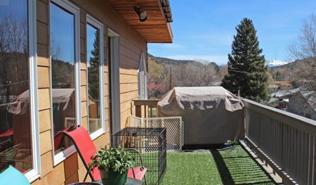 Home For Sale Dolores CO, near Telluride CO, Dolores River - image 24