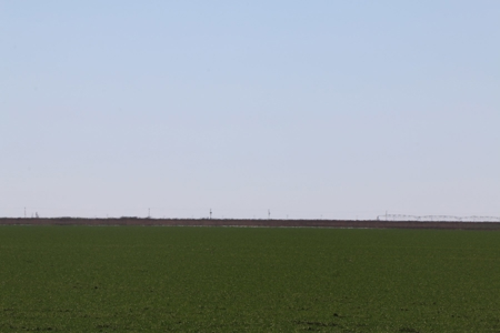 Texas Multi-Parcel Mineral Auction 2M - image 7