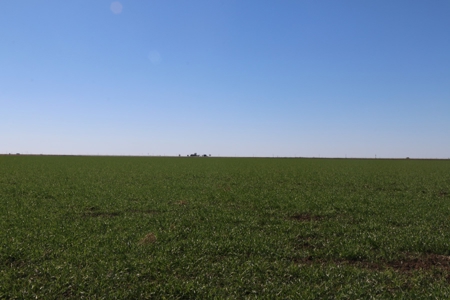 Texas Multi-Parcel Mineral Auction 2M - image 2