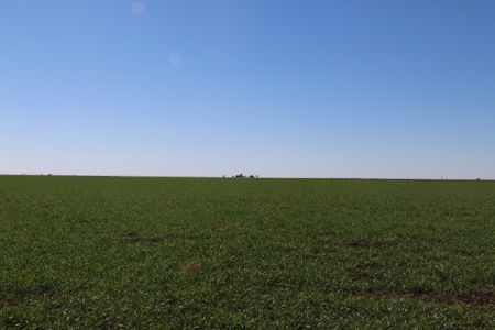 Texas Multi-Parcel Mineral Auction 2M - image 4