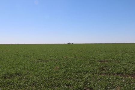 Texas Multi-Parcel Mineral Auction 2M - image 3