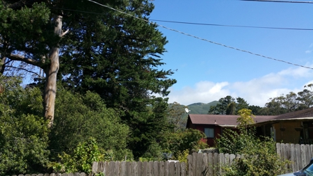 CA Coastal Home For Sale South of San Francisco in Montara - image 7