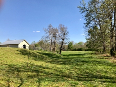 Tn Log Home With Acreage  4 Sale Lewis County, Hohenwald, Tn - image 5